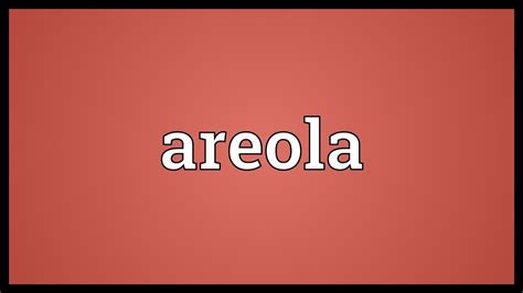 arryeolass|Areola – Wikipedia